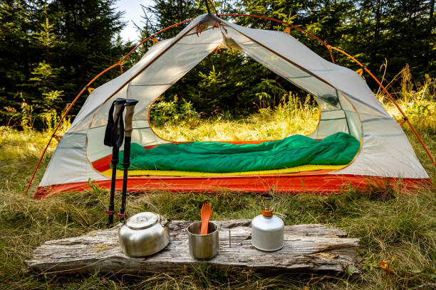 Essential Camping Gear for Beginners