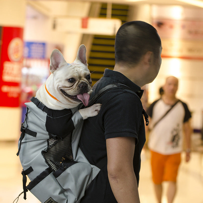 Dog Outdoor Backpack