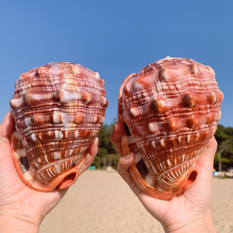 Gift Fish Tank Aquarium Ornaments